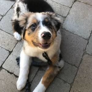 Meet your Posher, Margaret